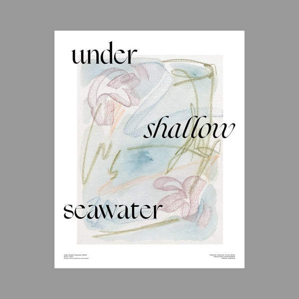 Under Shallow Seawater